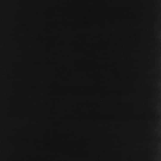 Springs Creative Jet Black Cotton Fabric